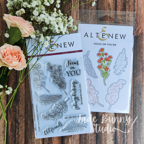 Focus on You Stamp & Die Bundle