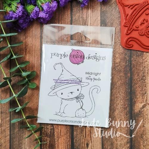SY - Midnight (Halloween Kitten)