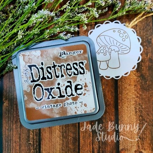 Distress Oxide - Vintage Photo